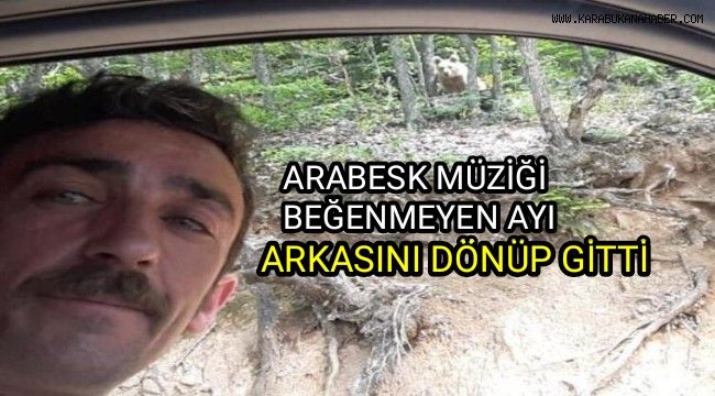 Arabesk müziği beğenmeyen ayı arkasını dönüp gitti