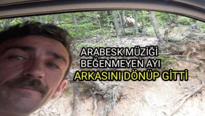 Arabesk müziği beğenmeyen ayı arkasını dönüp gitti