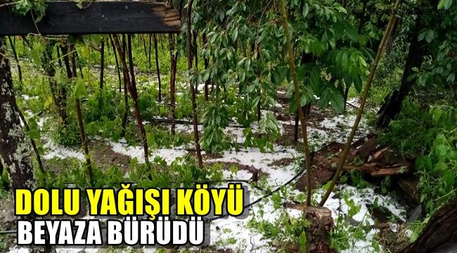 Dolu yağışı köyü beyaza bürüdü