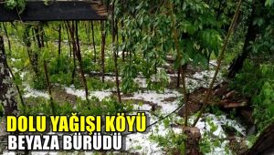 Dolu yağışı köyü beyaza bürüdü