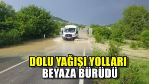Dolu yağışı yolları beyaza bürüdü, tarlalar sular altında kaldı