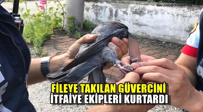 Fileye takılan güvercini itfaiye kurtardı