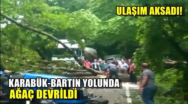 Karabük-Bartın yolunda ağaç devrildi