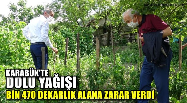 Karabük'te dolu yağışı bin 470 dekarlık alana zarar verdi