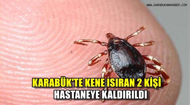 Karabük'te kene ısıran iki kişi hastaneye kaldırıldı