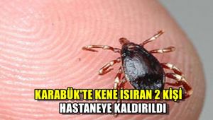 Karabük'te kene ısıran iki kişi hastaneye kaldırıldı