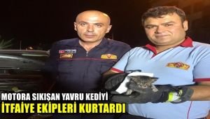 Motora sıkışan yavru kediyi itfaiye ekipleri kurtardı