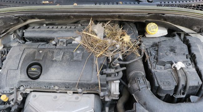 Otomobilin motor kısmına yuvalayan fare çıkarılamadı