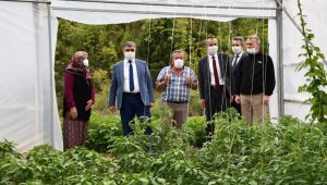 Vali Gürel'den çiftçilere ziyaret
