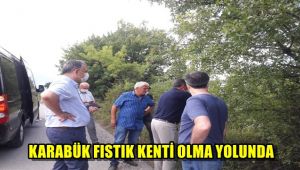 Karabük fıstık kenti olma yolunda