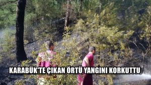 Karabük'te çıkan örtü yangını korkuttu