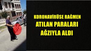 Korona virüse rağmen yere atılan paraları ağzıyla aldı
