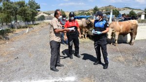 Polislerden hayvan pazarında denetim