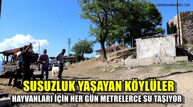 Susuzluk yaşayan köylüler hayvanları için her gün metrelerce su taşıyor