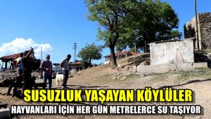 Susuzluk yaşayan köylüler hayvanları için her gün metrelerce su taşıyor