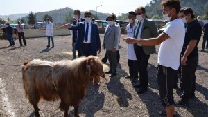 Vali Gürel hayvan pazarını denetledi