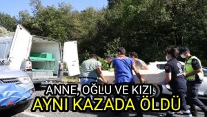Anne, oğlu ve kızı aynı kazada öldü