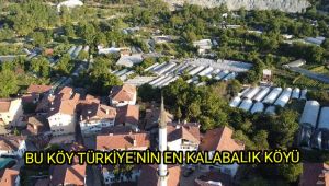 Bu köy Türkiye'nin en kalabalık köyü