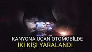 Kanyona uçan otomobildeki iki kişi yaralandı