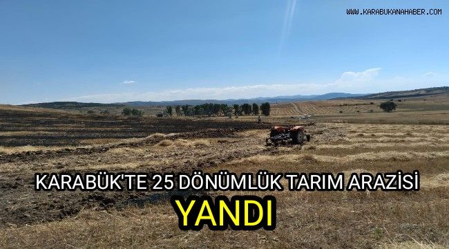 Karabük'te 25 dönümlük tarım arazisi yandı