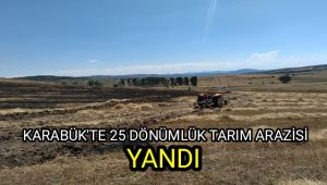 Karabük'te 25 dönümlük tarım arazisi yandı