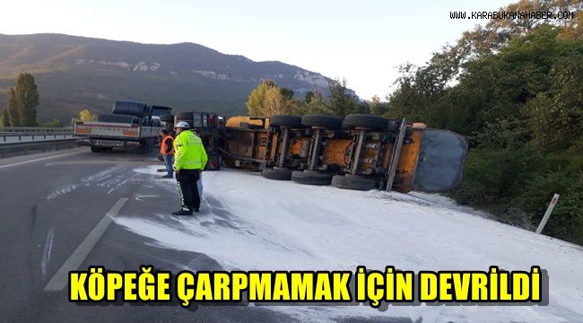 Köpeğe çarpmamak için devrildi