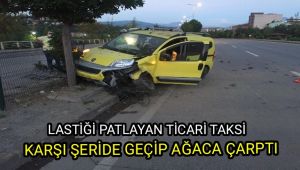 Lastiği patlayan ticari taksi karşı şeride geçip ağaca çarptı: 2 yaralı