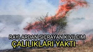 Raylardan sıçrayan kıvılcım çalılıkları yaktı
