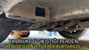 Yavru kedi sıkıştığı yerden telefonla kedi sesi dinletilerek kurtarıldı