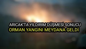 Arıcak'ta yıldırım düşmesi sonucu yangın meydana geldi.