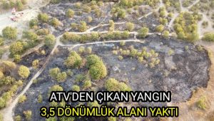 ATV'den çıkan yangın 3,5 dönümlük alanı yaktı