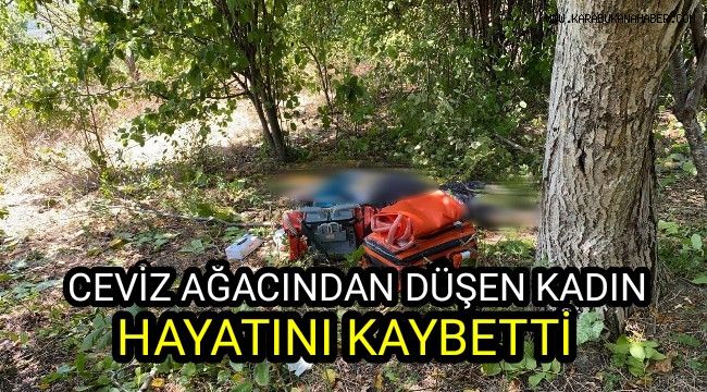 Ceviz ağacından düşen kadın hayatını kaybetti