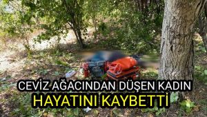Ceviz ağacından düşen kadın hayatını kaybetti
