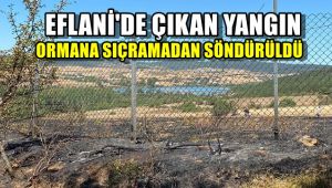 Eflani'de çıkan yangın ormana sıçramadan söndürüldü