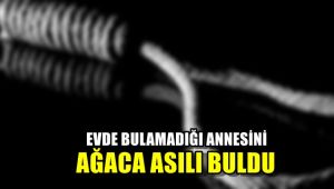 Evde bulamadığı annesini bahçede ağaca asılı buldu