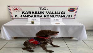 Jandarmadan uyuşturucu operasyonu