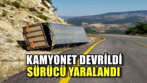 Kamyonet devrildi, sürücüsü yaralandı
