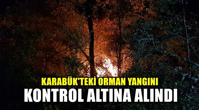 Karabük'teki orman yangını kontrol altına alındı