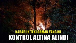 Karabük'teki orman yangını kontrol altına alındı