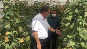 Kaymakam Türköz'den Türkiye'nin en kalabalık köyünde inceleme