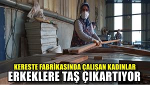Kereste fabrikasında çalışan kadınlar erkeklere taş çıkartıyor