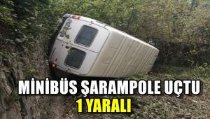Minibüs şarampole uçtu: 1 yaralı