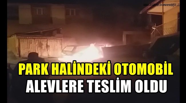Park halindeki otomobil alevlere teslim oldu