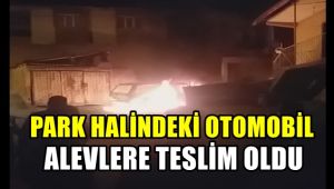 Park halindeki otomobil alevlere teslim oldu