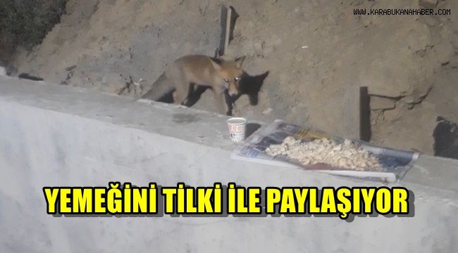 Yemeğini tilkiyle paylaşıyor