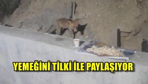 Yemeğini tilkiyle paylaşıyor