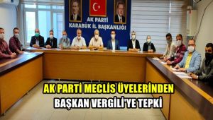 AK Partili Belediye Meclis üyelerinden Başkan Vergili'ye tepki