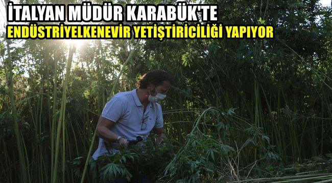 İtalyan Müdür Karabük'te endüstriyel kenevir yetiştiriciliği yapıyor
