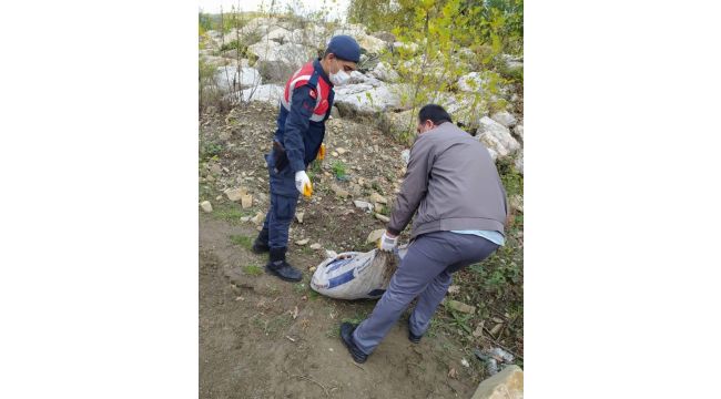 Karabük'te izinsiz salyangoz toplayan 5 kişiye para cezası