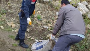 Karabük'te izinsiz salyangoz toplayan 5 kişiye para cezası